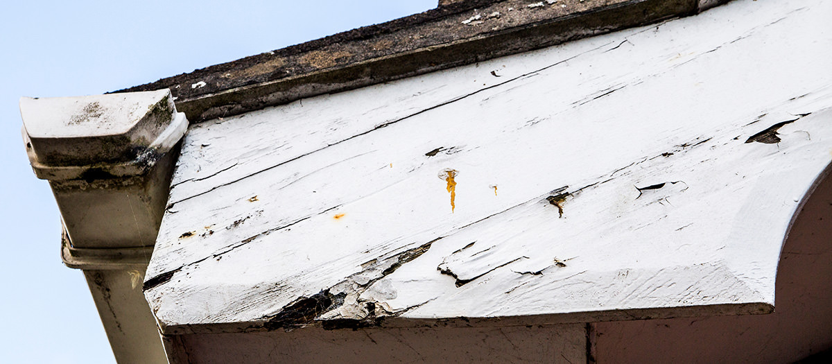 PMV Blog Chipped Paint Flaking paint on the exterior of a house