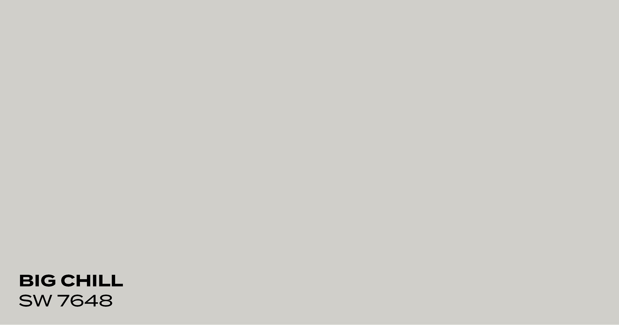 PMV - Blog - Top 10 Grays - Big Chill Color swatch for Big Chill