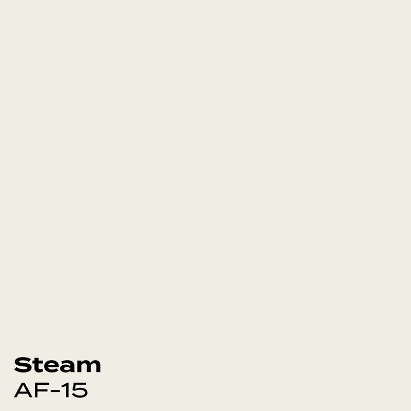 PMV - Blog - Top 10 Grays - Coventry Gray Coordinating 1 Color swatch for Steam