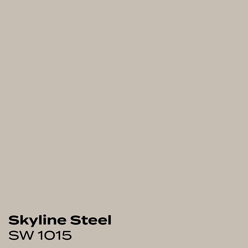 PMV - Blog - Top 10 Grays - Dorian Gray Coordinating 2 Color swatch for Skyline Steel