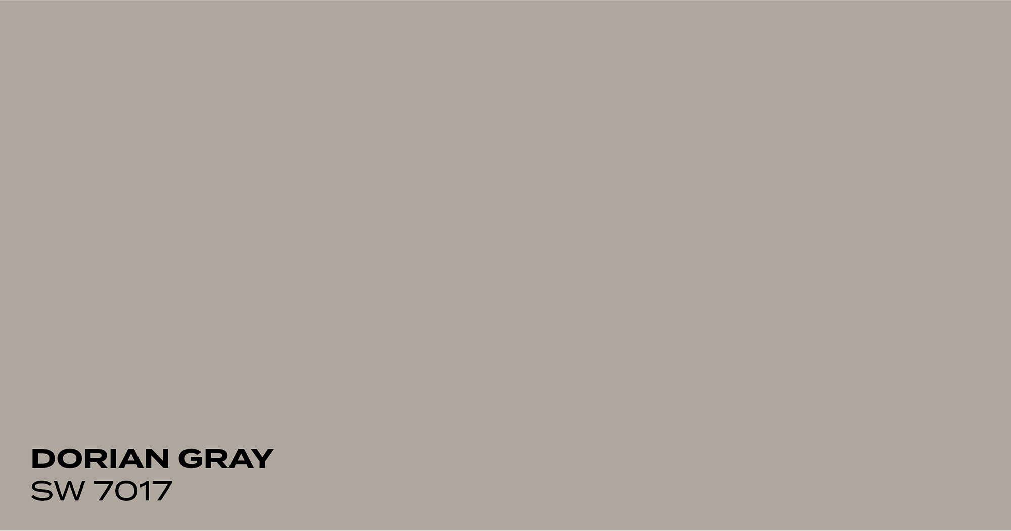 PMV - Blog - Top 10 Grays - Dorian Gray Color swatch for Dorian Gray