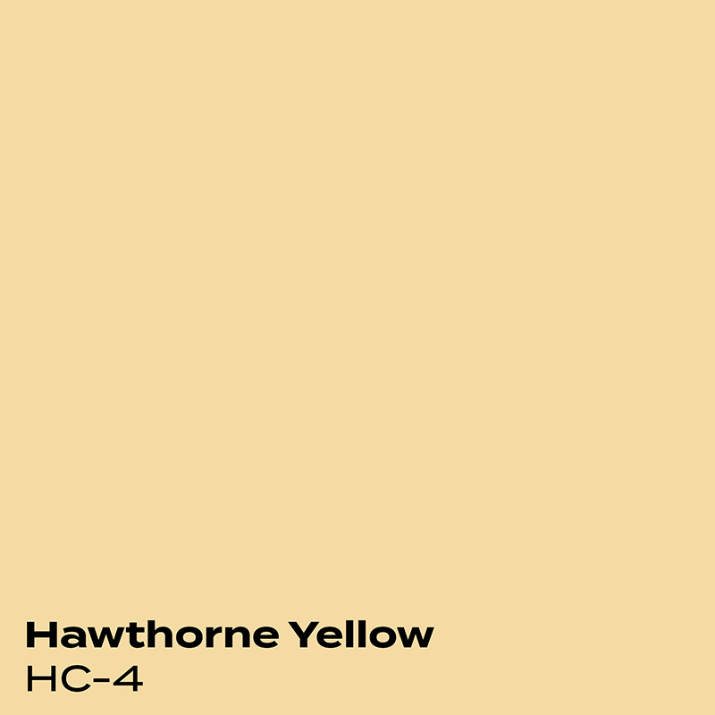 PMV - Blog - Top 10 Grays - Kendall Charcoal Coordinating 2 Color swatch for Hawthorne Yellow