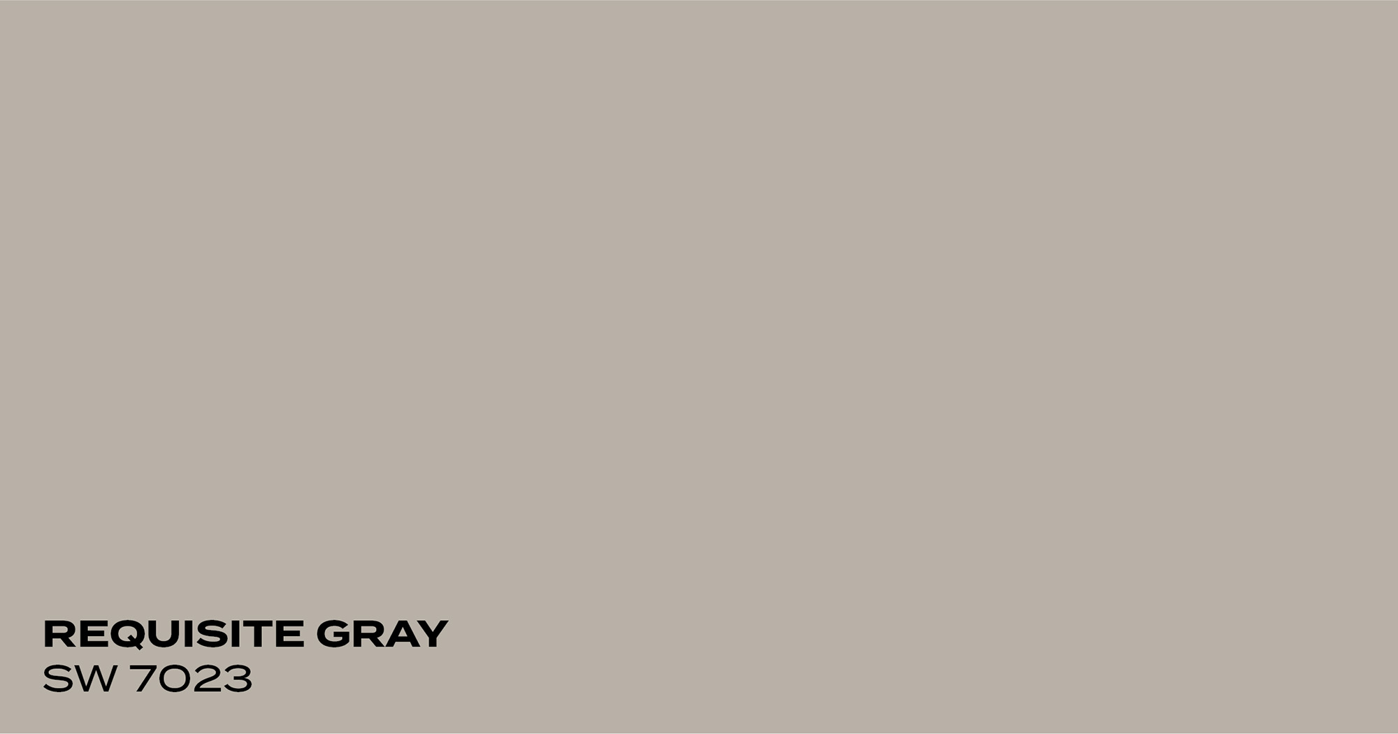 PMV - Blog - Top 10 Grays - Requisite Gray Color swatch for Requisite Gray