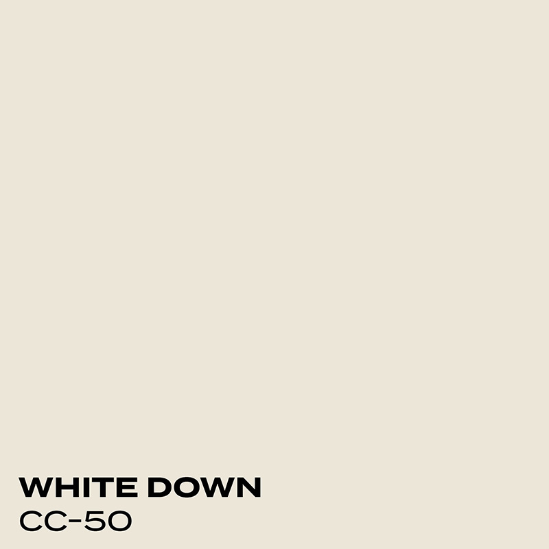 PMV - Blog - Top 10 Whites Cloud White Coordinating Colors 1 Color swatch for White Down
