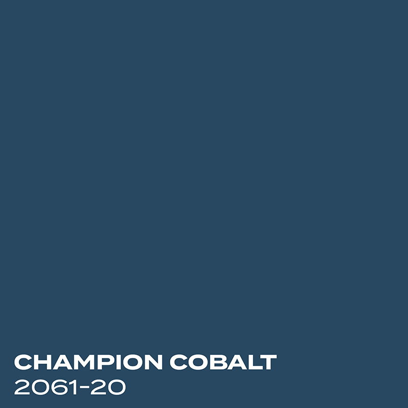 PMV - Blog - Top 10 Whites Cloud White Coordinating Colors 2 Color swatch for Champion Cobalt