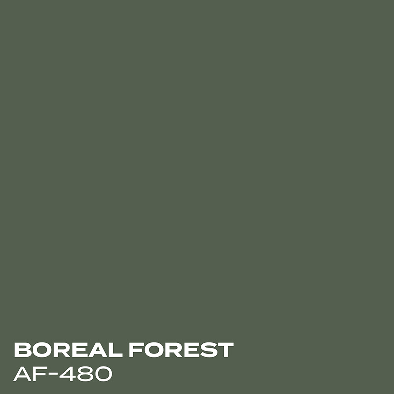 PMV - Blog - Top 10 Whites Decorator's White Coordinating Colors 3 Color swatch for Boreal Forest
