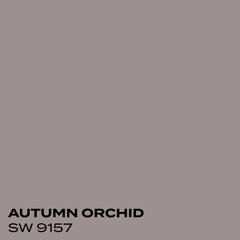 PMV - Blog - Top 10 Whites Snowbound Coordinating Colors 2 Color swatch for Autumn Orchid
