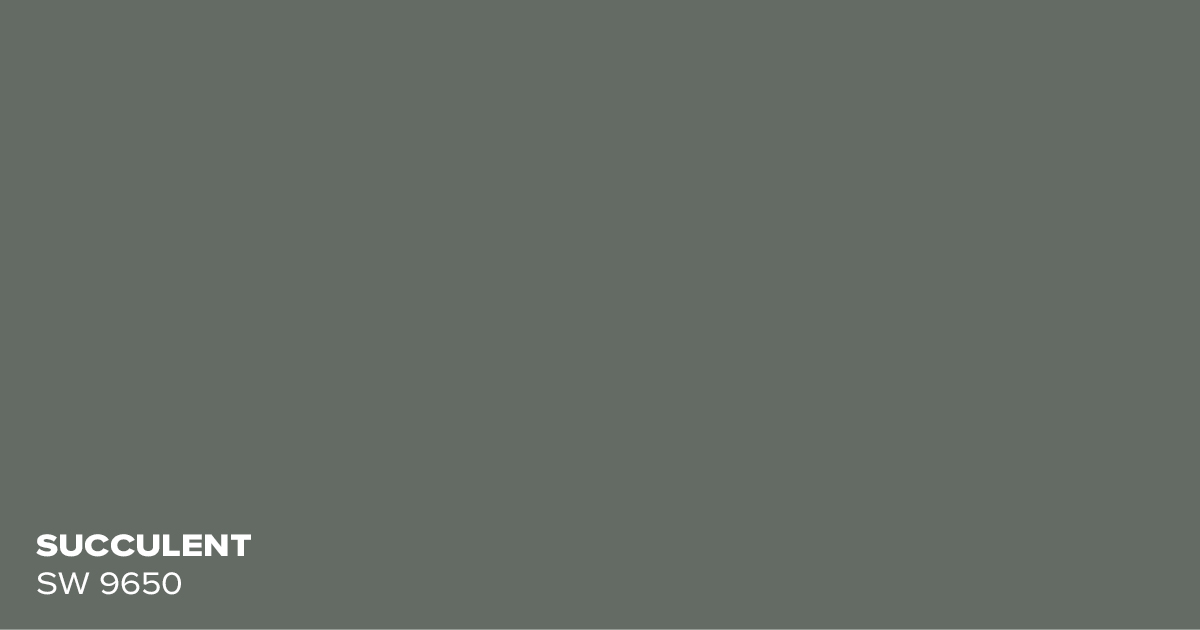 PMV - Top 10 Green Paint Colors 2025 - Succulent