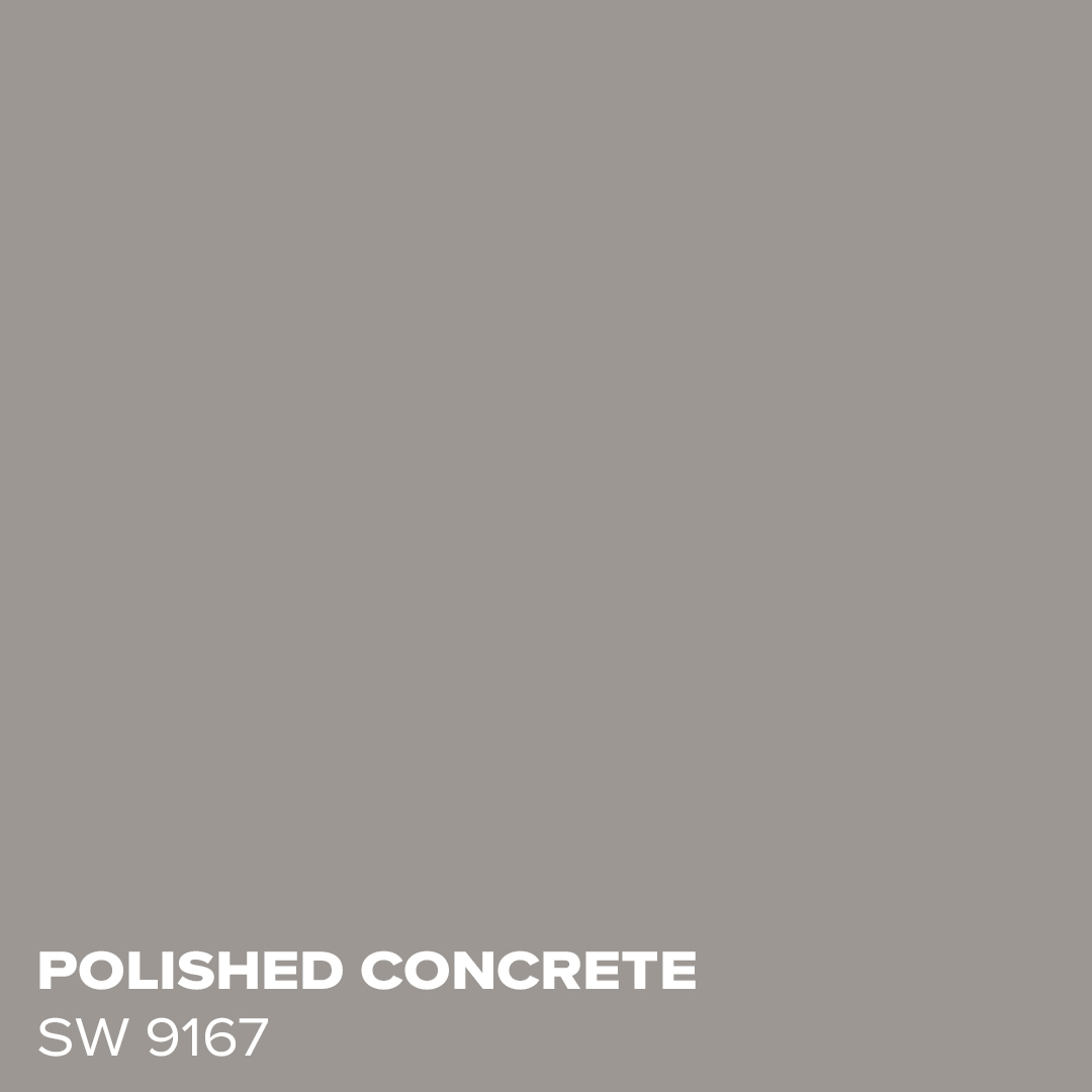 Polished Concrete SW 9167 - Coordinating Color for Drift of Mist by Sherwin Williams