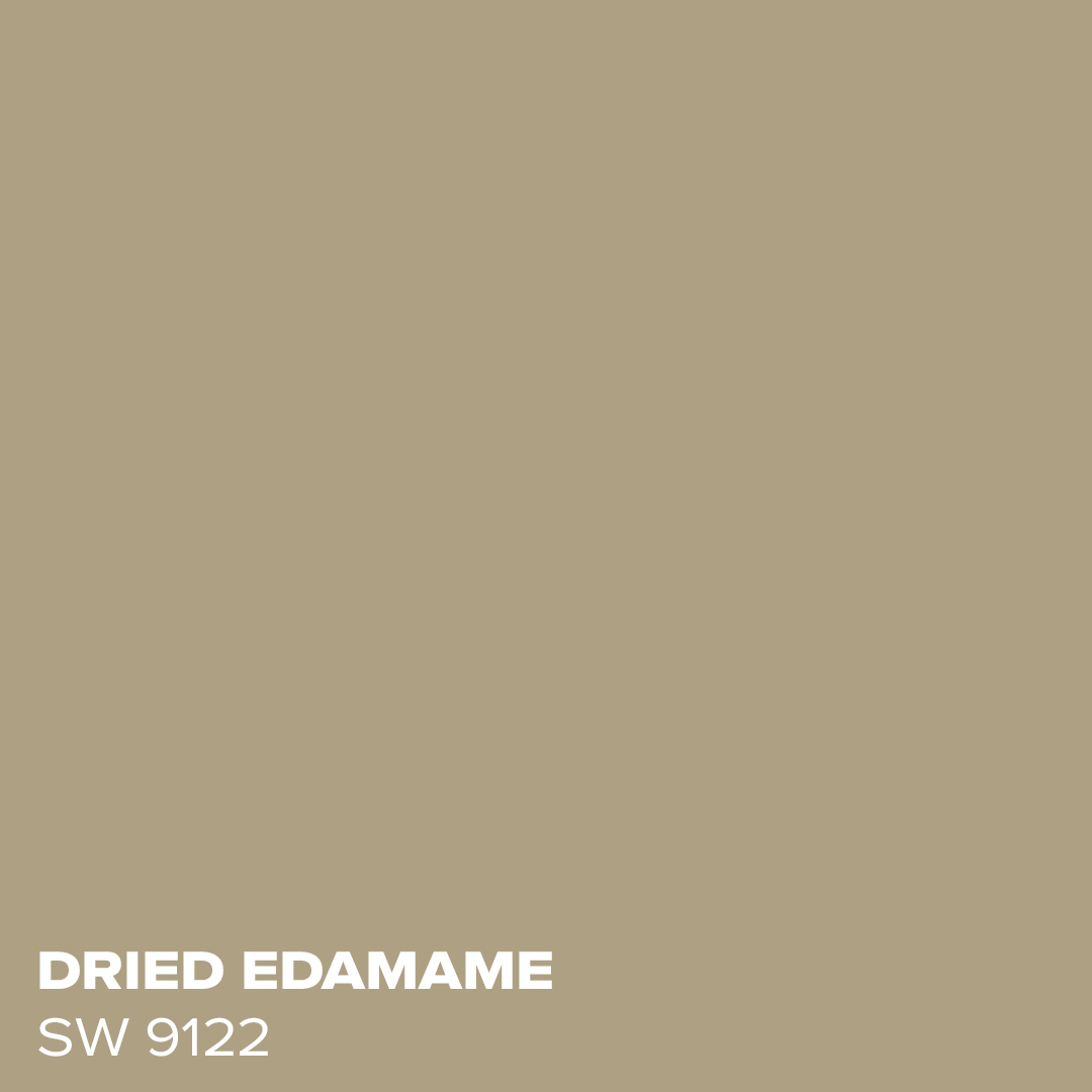 Dried Edamame SW 9122 - Coordinating Color for Evergreen Fog by Sherwin Williams