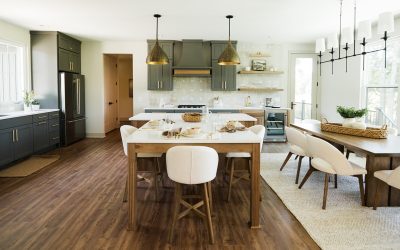 Project Highlight: Custom Home Painting | 2026 Parade of Homes